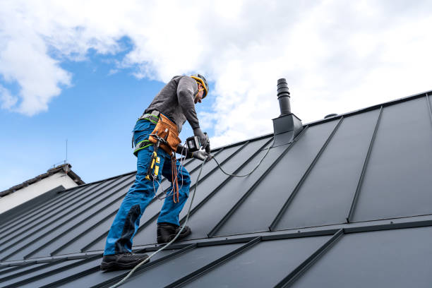 Roof Moss and Algae Removal in Whitney Point, NY